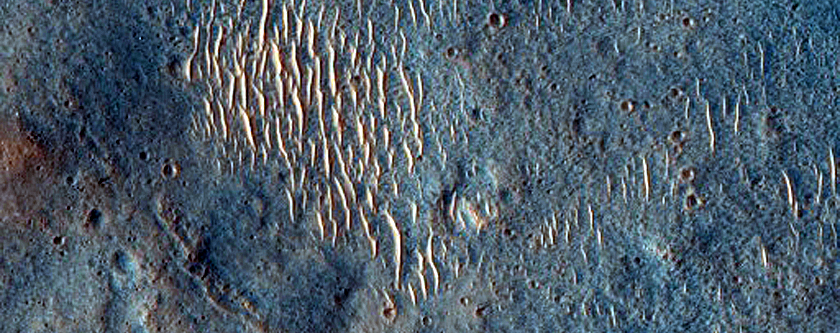Light and Dark-Toned Landforms in Maumee Valles
