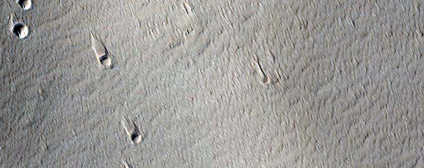 Channels Near Echus Chasma
