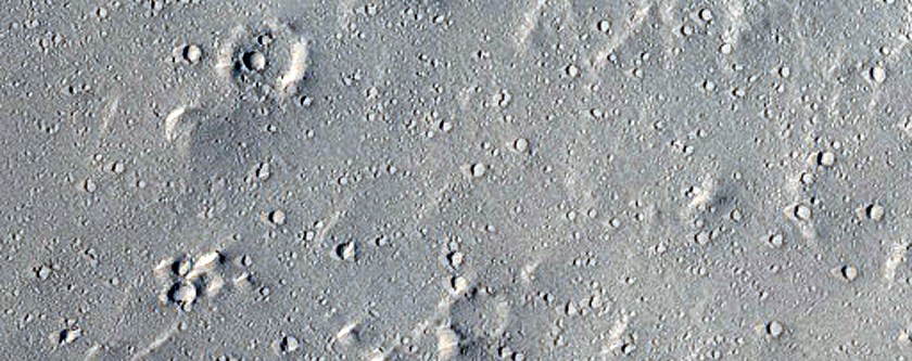 Fan in Eddie Crater
