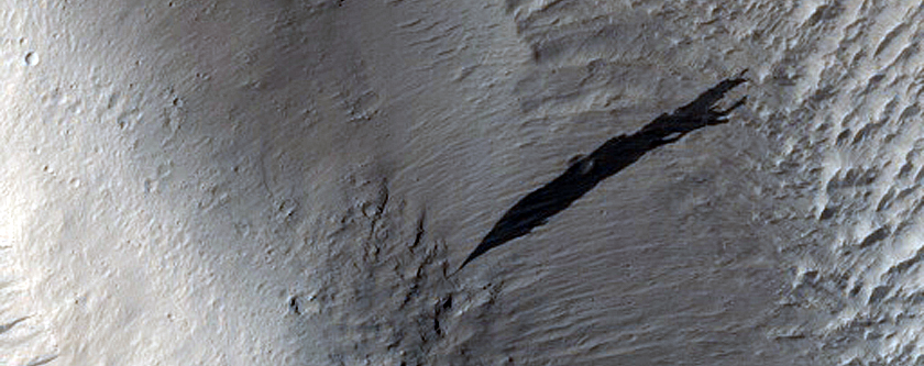 Feature in Elysium Planitia Region Flood Lava

