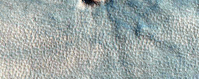 Linear Ridge
