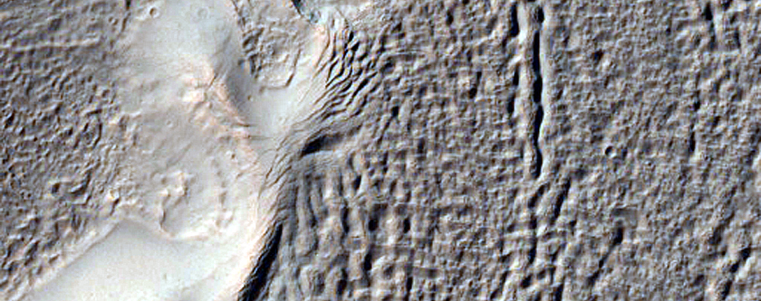 Gully Monitoring
