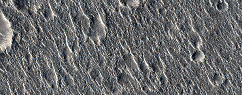 Ridges in Isidis Planitia

