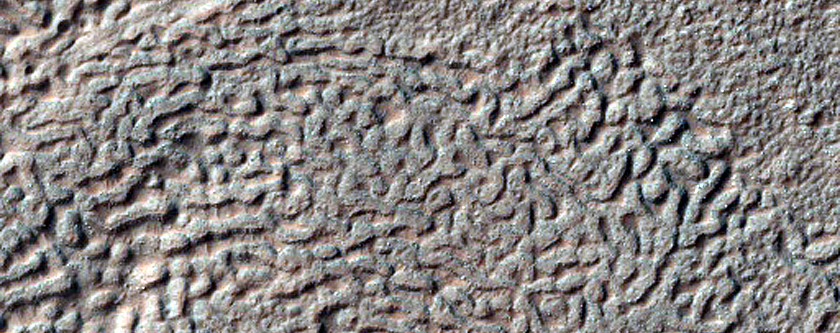 Terrain Sample
