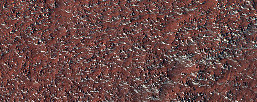 Mid-Latitude Terrain Sample
