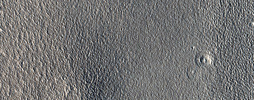 Northern Plains
