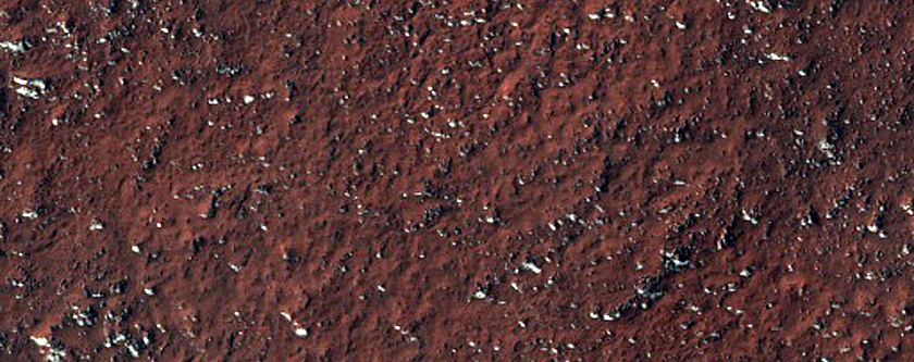 Mid-Latitude Terrain Sample

