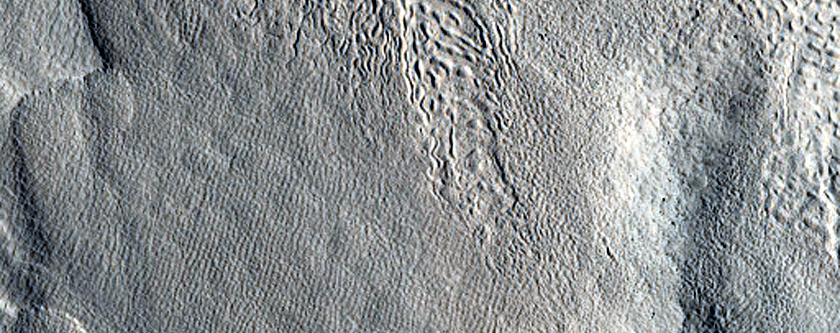 Flow from Valley Protonilus Mensae
