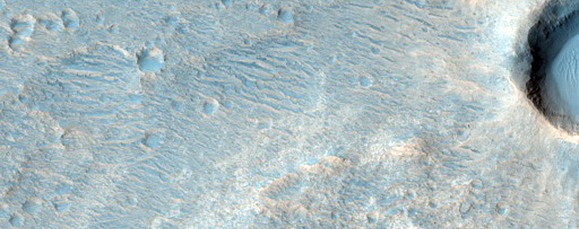 Oxia Palus
