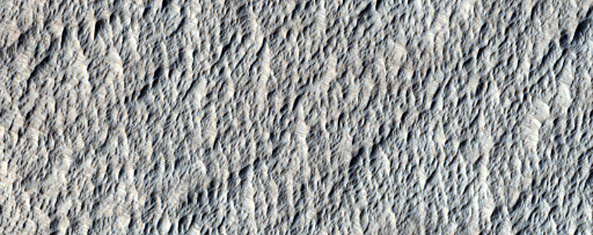 Terrain Sample
