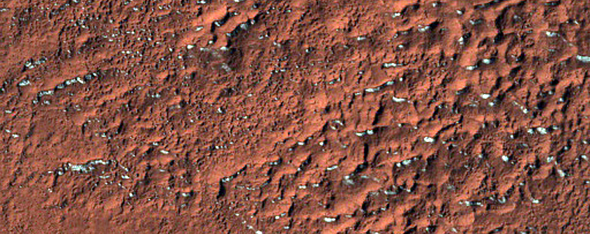 Mid-Latitude Terrain Sample
