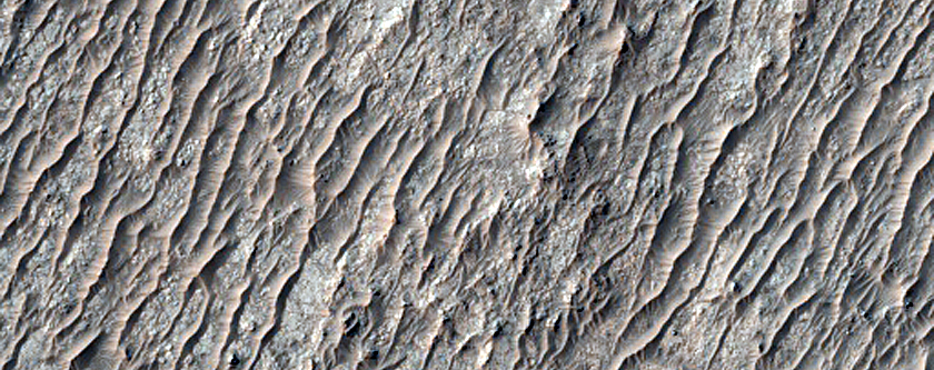Crater Fill
