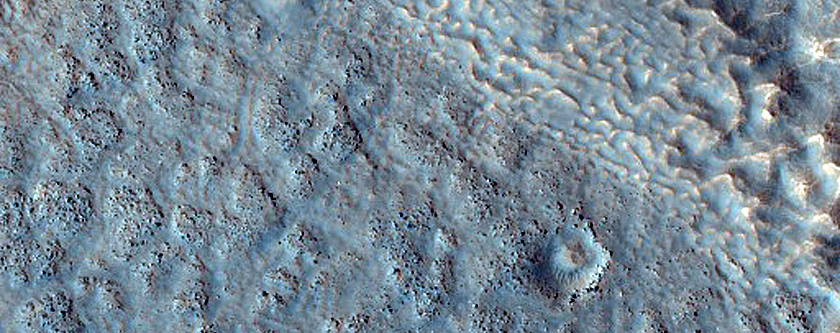 Contact in Northern Mid-Latitudes
