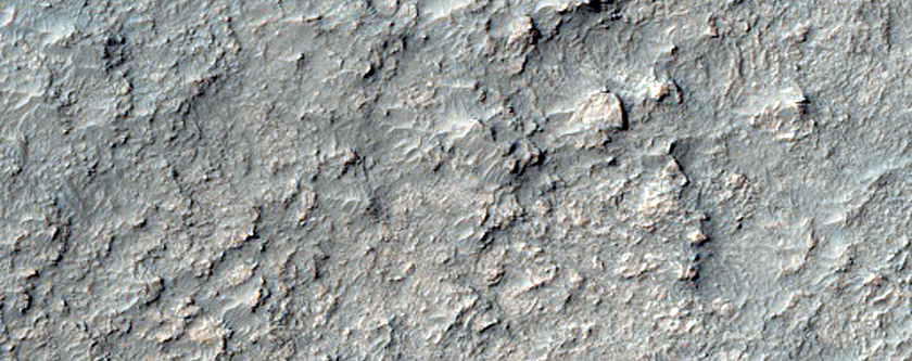 Rocky Ground
