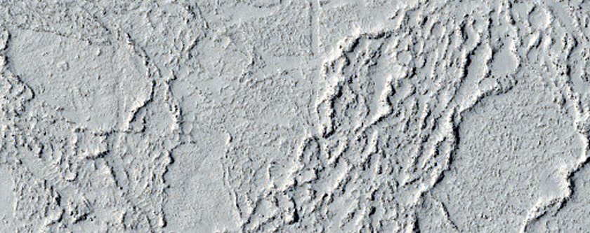 Elysium Planitia Lava Margin

