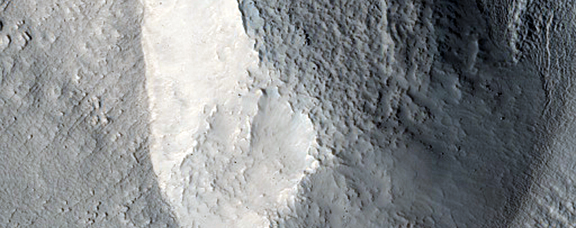 Variety of Brain Terrain Near East Rim of Moreux Crater
