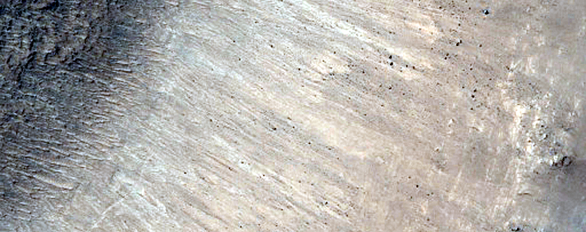 Mid-Latitude Terrain Sample
