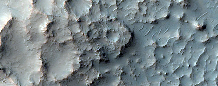 Inverted Channels in Crater
