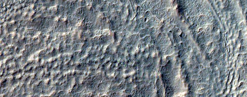Concentric Crater Fill in Southern Mid-Latitude Crater

