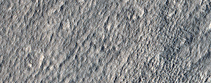 Dust Covered Terrain
