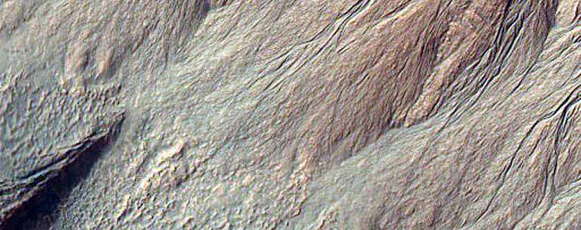 Gully Monitoring
