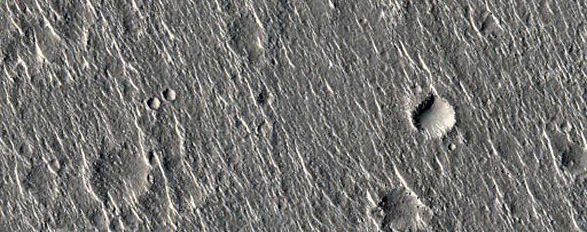 Ridge Connecting Mounds in Isidis Planitia
