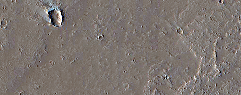 Landforms in Amazonis Planitia
