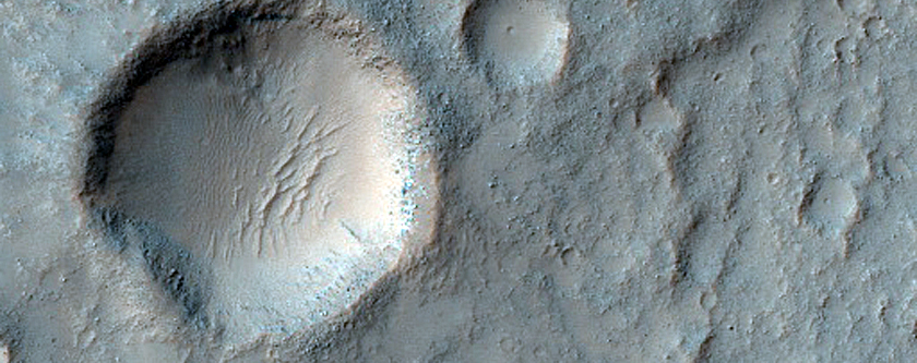 Rocky Ground
