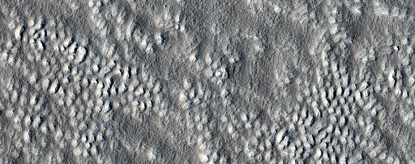 Crater Floor Features in Protonilus Mensae
