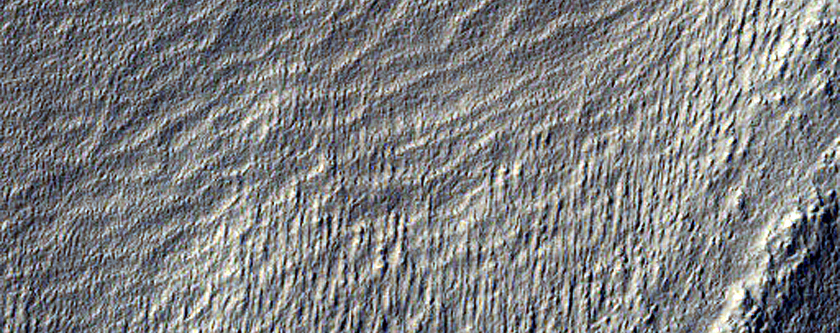 Flow in Crater East of Reull Vallis
