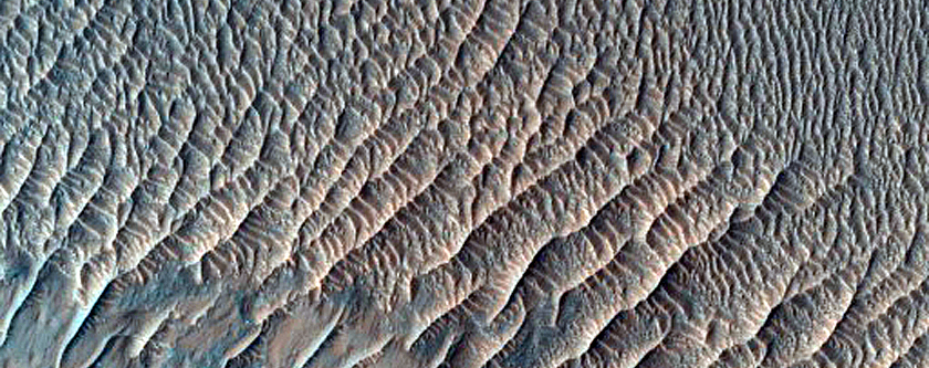 Light-Toned Brecciated Materials along Mesa in Melas Chasma
