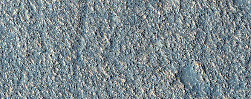 Albedo Monitoring in Arcadia Planitia
