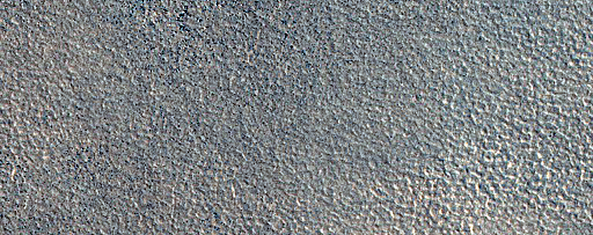 Dark Filamentary Streak Seasonal Monitor Site on Northern Plains
