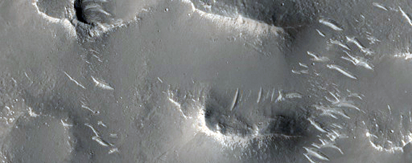 Utopia Planitia
