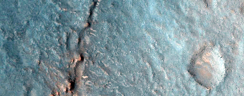 Nilosyrtis Region
