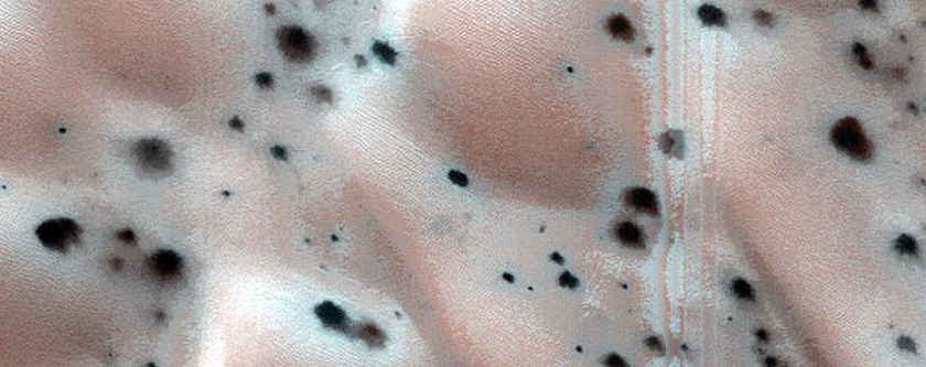 Seasonal Activity over Dunes with Possible Recent Spiders
