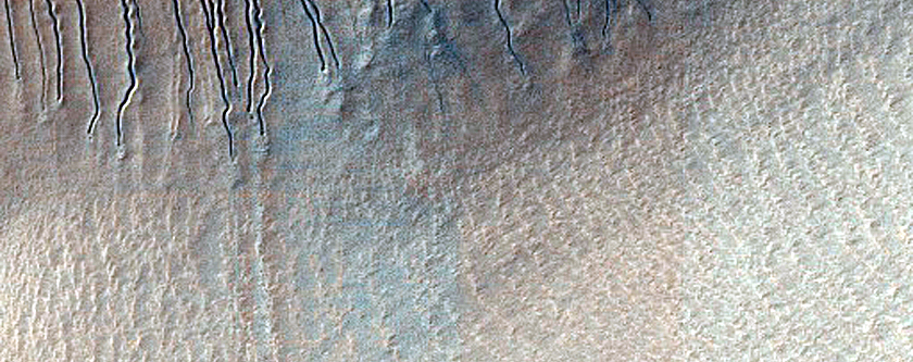 Dunes with Linear Gullies in Hellas Planitia
