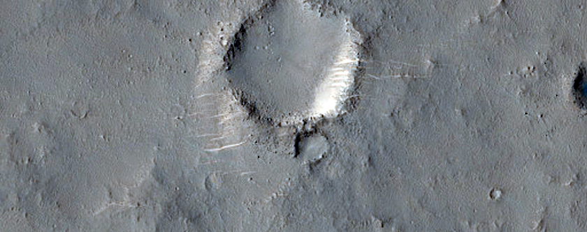 Lobate Structure in Isidis Planitia
