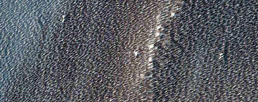 Monitoring New Impact Site
