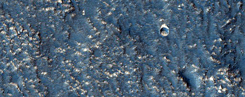 Terrain Sample
