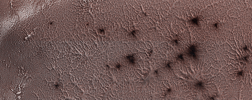 Jamming with the “Spiders” from Mars