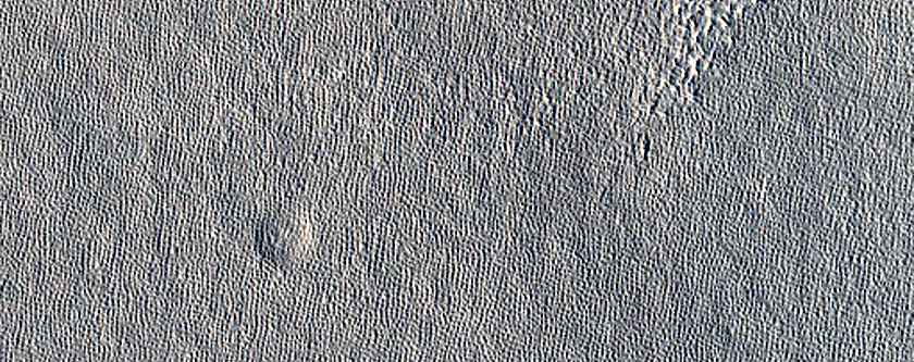 Terrain Sample in Arcadia Planitia
