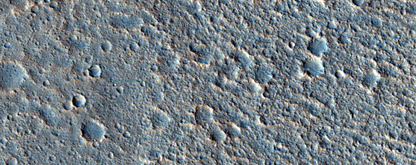 Networking Features in Chryse Planitia
