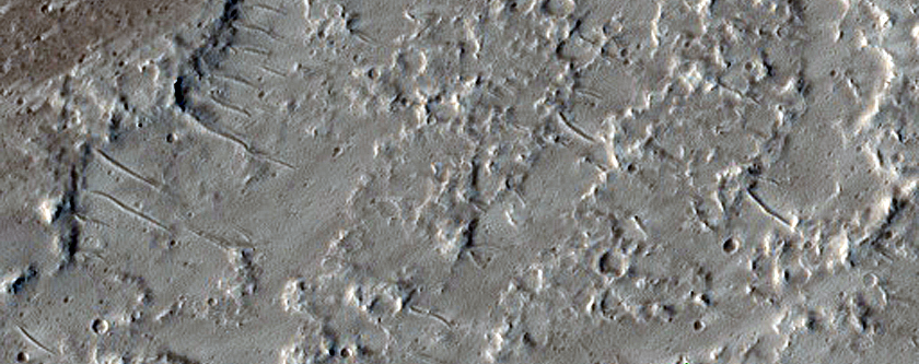 Flows Southeast of Ascraeus Mons
