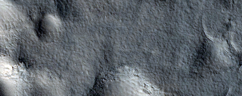 Crater Fill and Expanded Secondaries Sourced from Maricourt Crater
