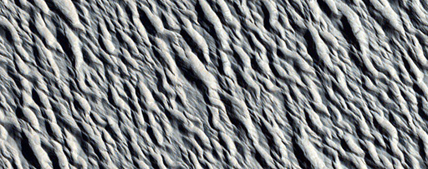 Monitoring Site in Northern Amazonis Planitia