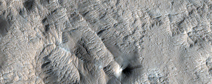 Diverse Terrain in Elysium Planitia
