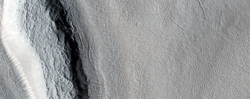 Field of Craters in Utopia Planitia