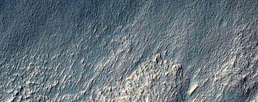 Volatiles and Gullies
