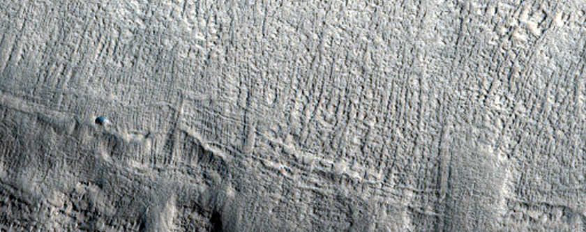 Gully Monitoring near Elysium Region
